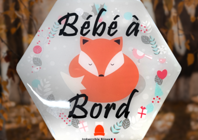 Bébé-à-Bord-Renard