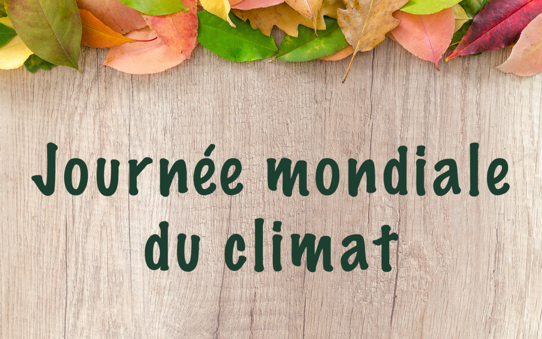 Fêtons l’environnement en cette journée du climat